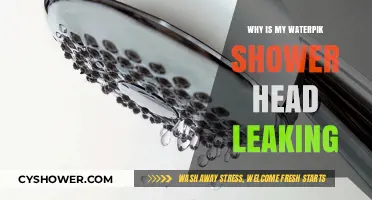 Troubleshooting a Leaky Waterpik Shower Head: Causes and Fixes