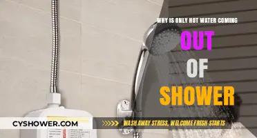Why Only Hot Water in Your Shower? Troubleshooting Tips