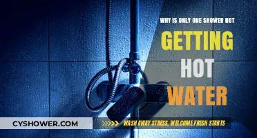 One Shower Stays Cold: Troubleshooting Your Hot Water Issue
