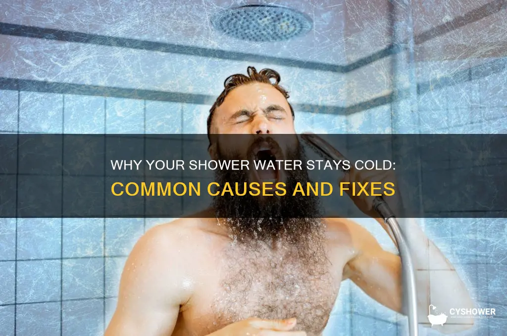 why is our shower water cold