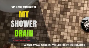 Why is Poop Coming Out of My Shower Drain? Causes and Fixes