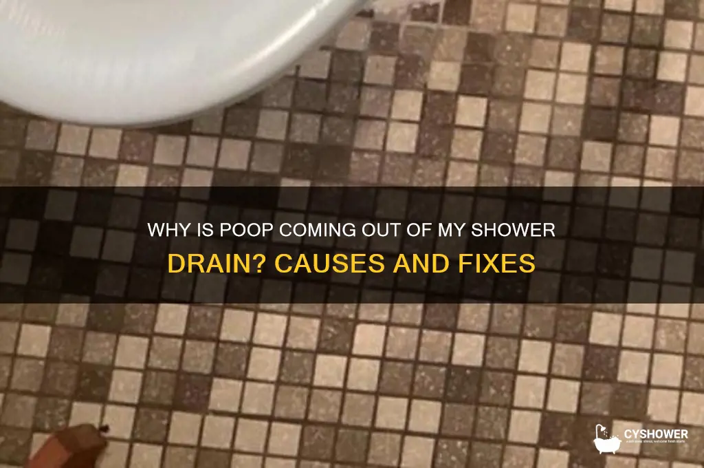 why is poop coming out of my shower drain