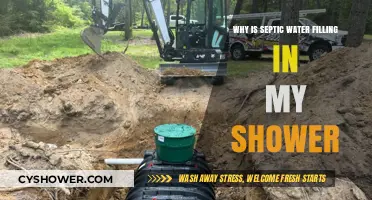 Why Septic Water Backs Up in Your Shower: Causes & Fixes
