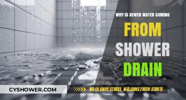Sewer Water in Shower Drain: Causes and Solutions Explained