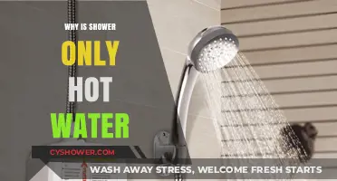 Why Your Shower Only Produces Hot Water: Causes and Fixes