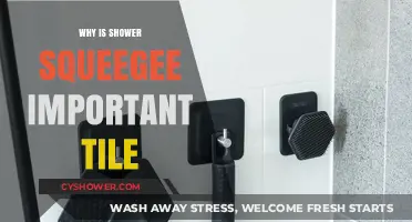 Why a Shower Squeegee is Essential for Tile Maintenance
