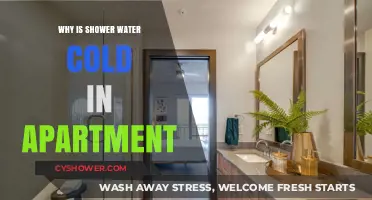 Why Your Apartment Shower Water Stays Cold: Common Causes Explained