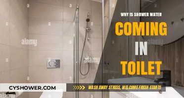 Shower Water in Toilet: Causes and Quick Fixes Explained