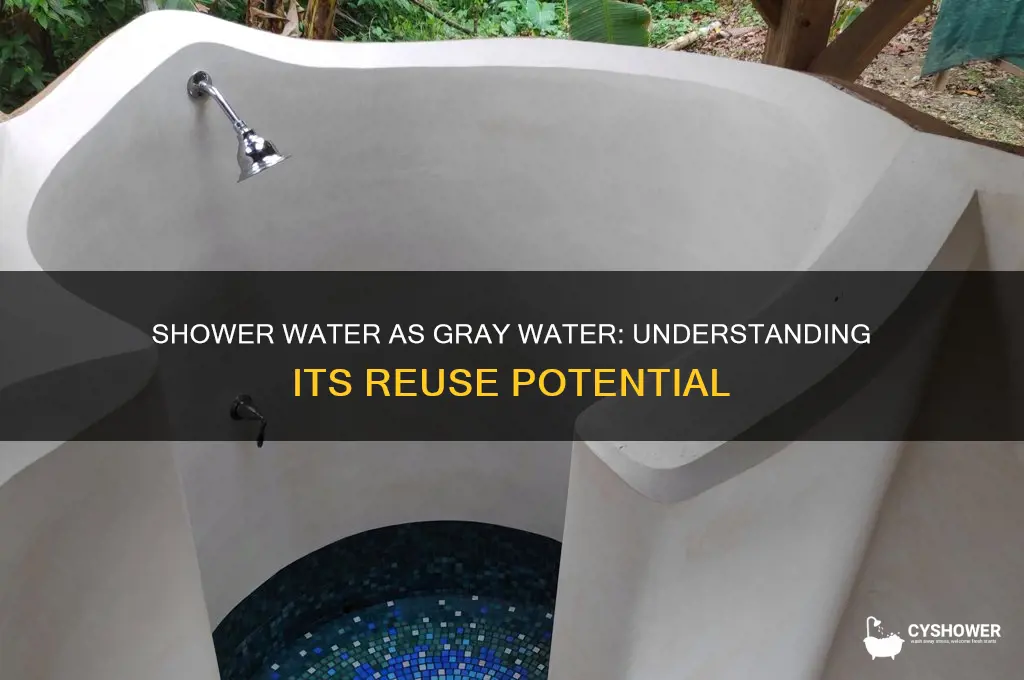 why is shower water considered gray water