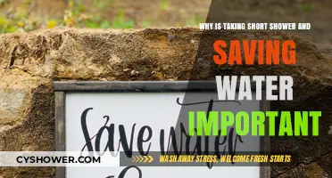 Short Showers, Big Impact: Why Saving Water Matters for Our Planet