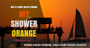 Tampa's Orange Shower Water: Causes and Solutions Explained