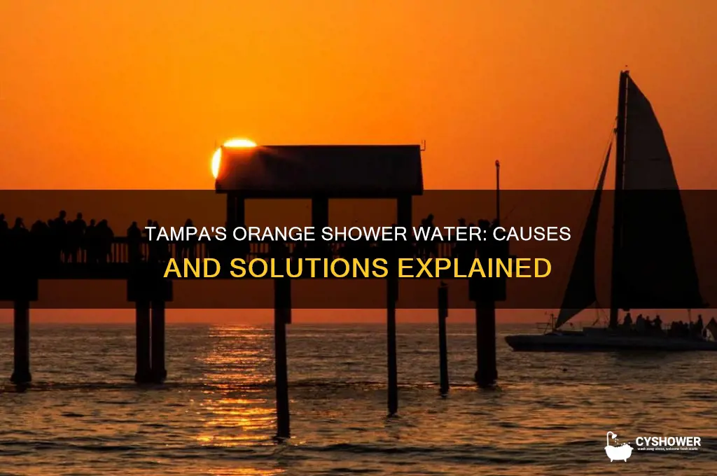 why is tampa water turning my shower orange