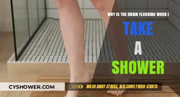 Shower Drain Flooding? Common Causes and Quick Fixes Explained