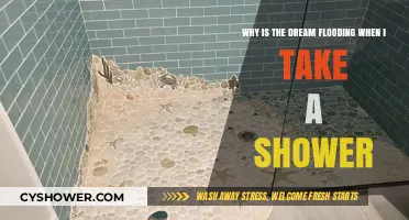 Shower Dreams: Unraveling the Mystery of Flooding Visions