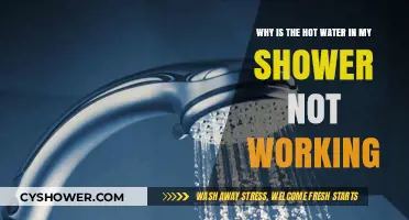 Troubleshooting Shower Issues: Why Your Hot Water Isn't Working