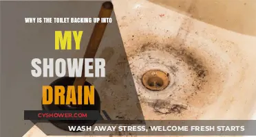 Toilet Backing Up into Shower Drain? Causes and Quick Fixes