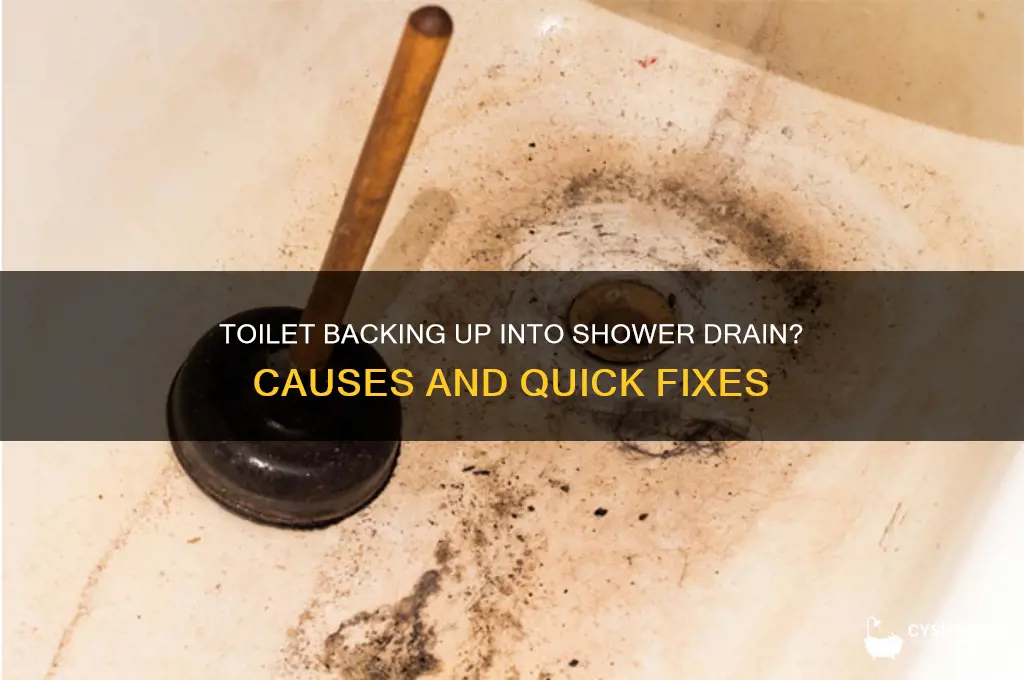 why is the toilet backing up into my shower drain