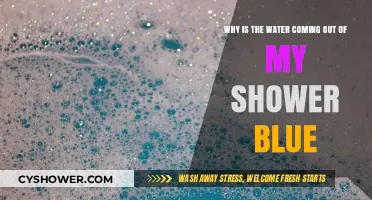 Blue Shower Water: Causes and Solutions for Your Plumbing Mystery