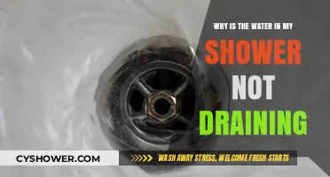 Shower Drain Clogged? Here’s Why Water Isn’t Draining Properly