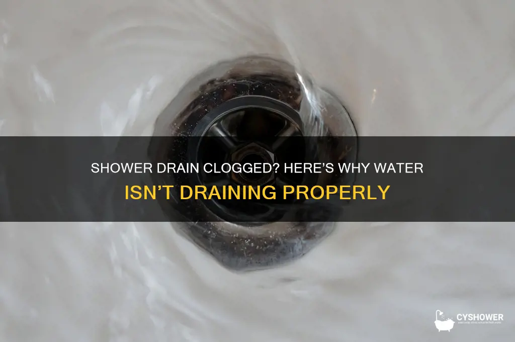 why is the water in my shower not draining
