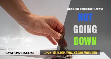 Shower Drain Clogged? Reasons Why Water Isn't Draining Properly