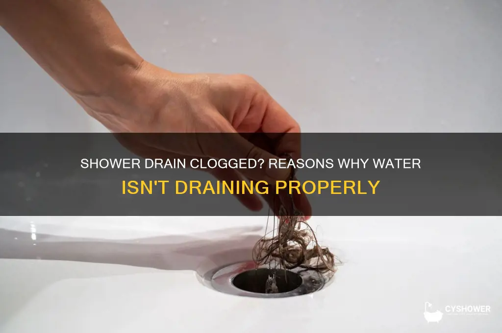 why is the water in my shower not going down