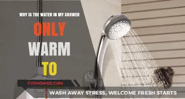Why Your Shower Water Stays Warm: Troubleshooting Tips and Fixes