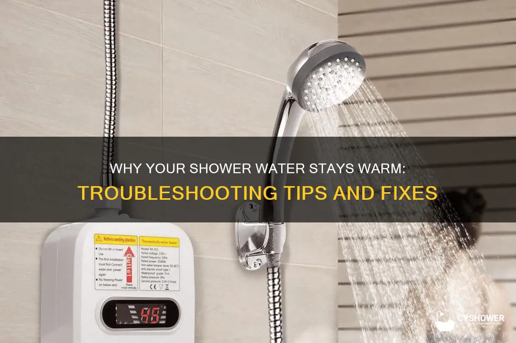why is the water in my shower only warm to