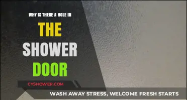 Why Shower Doors Have Holes: Purpose and Practical Benefits Explained