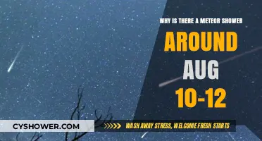 August's Perseid Meteor Shower: Origins and Peak Viewing Dates