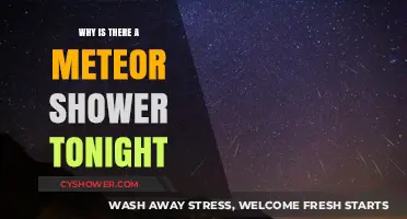 Tonight's Meteor Shower: Unveiling the Celestial Spectacle and Its Origins