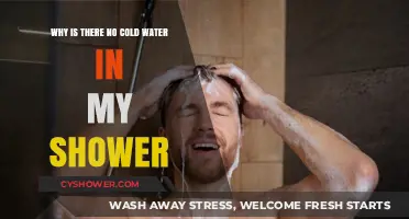 No Cold Water in Shower? Troubleshooting Your Plumbing Issue