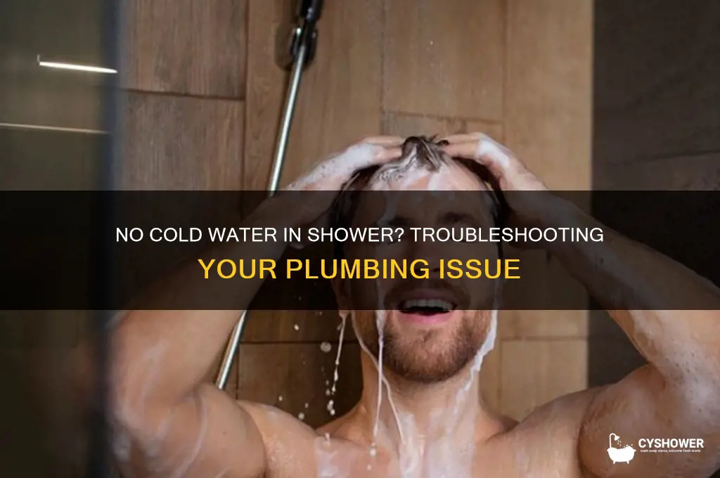 why is there no cold water in my shower