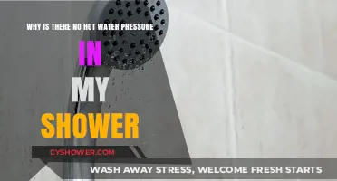 No Hot Water Pressure in Shower? Causes and Quick Fixes
