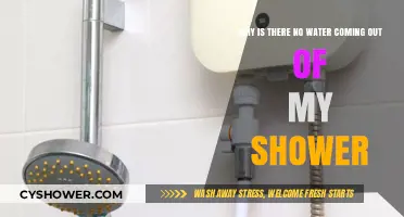 No Water in Shower? Troubleshooting Common Causes and Fixes