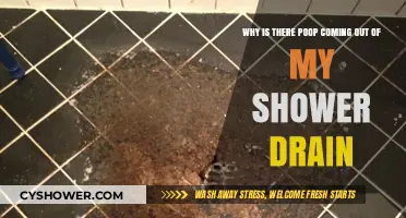 Shower Drain Poop Mystery: Causes and Quick Fixes Explained