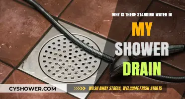Why Is There Standing Water in My Shower Drain?