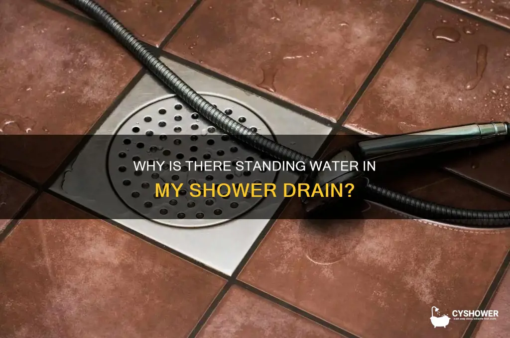 why is there standing water in my shower drain