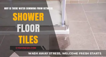 Leaking Shower Floor Tiles: Causes and Solutions for Water Seepage