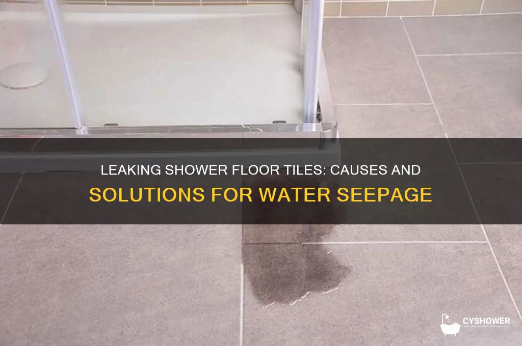 why is there water comming from between shower floor tiles