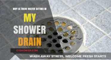 Why Is Water Sitting in My Shower Drain? Causes and Fixes