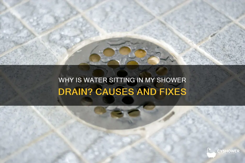 why is there water sitting in my shower drain