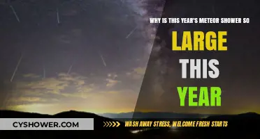 Unveiling the Spectacular 2023 Meteor Shower: Causes of Its Intensity
