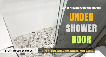 Why Shower Door Curb Tile Grout Cracks: Causes and Fixes