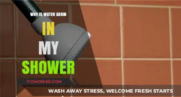 Why Is Water Adding in My Shower? Common Causes and Fixes