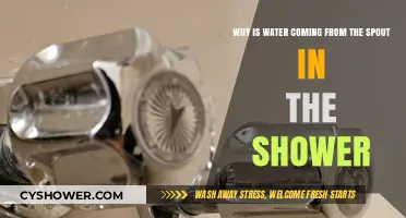 Why Is Water Coming From the Shower Spout? Explained