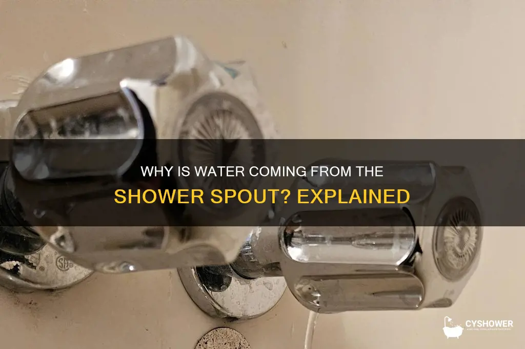 why is water coming from the spout in the shower