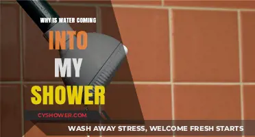 Why Is Water Leaking into My Shower? Causes and Fixes
