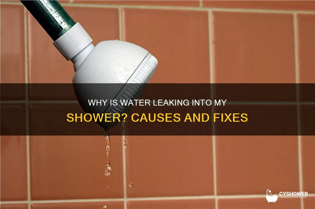why is water coming into my shower
