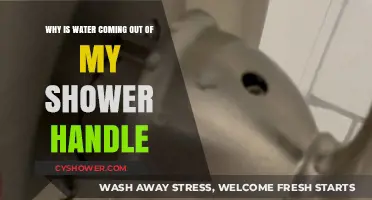 Why Is Water Leaking from My Shower Handle? Causes & Fixes